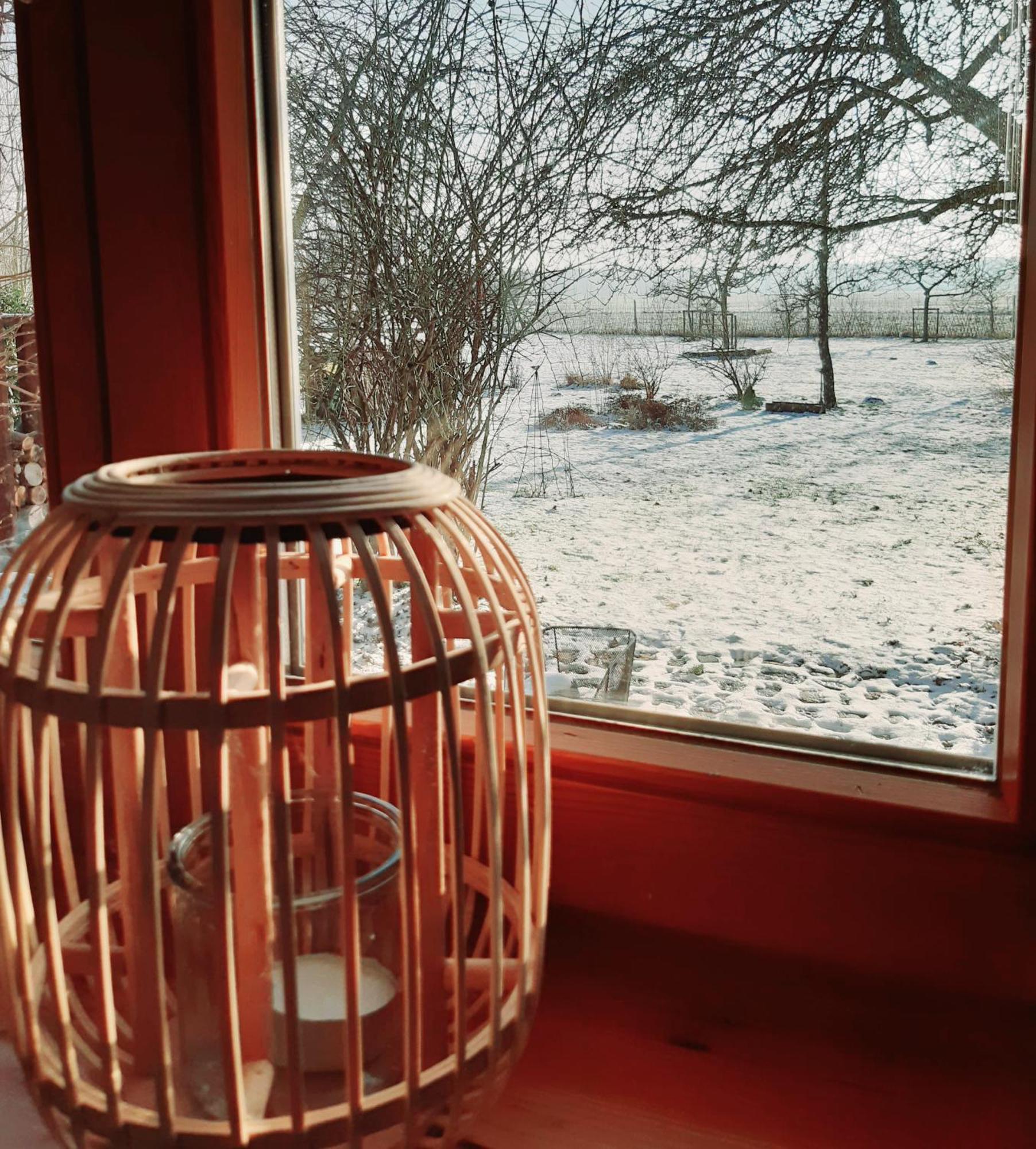Ferienhaus Salvia Gremersdorf-Buchholz ภายนอก รูปภาพ