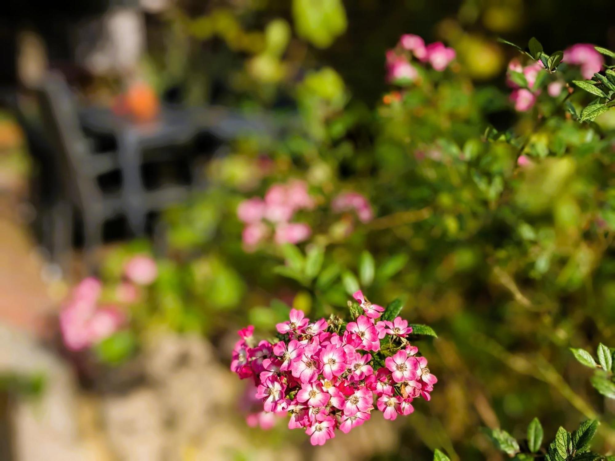 Ferienhaus Salvia Gremersdorf-Buchholz ภายนอก รูปภาพ
