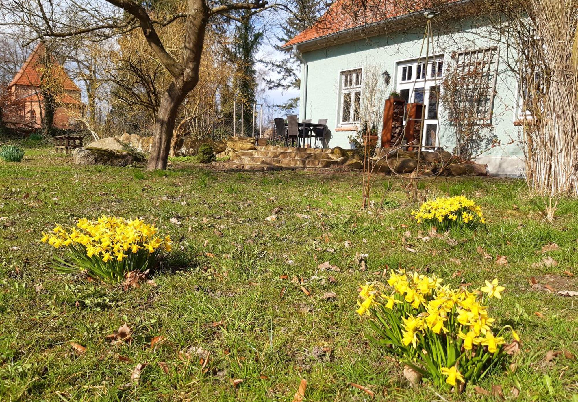 Ferienhaus Salvia Gremersdorf-Buchholz ภายนอก รูปภาพ