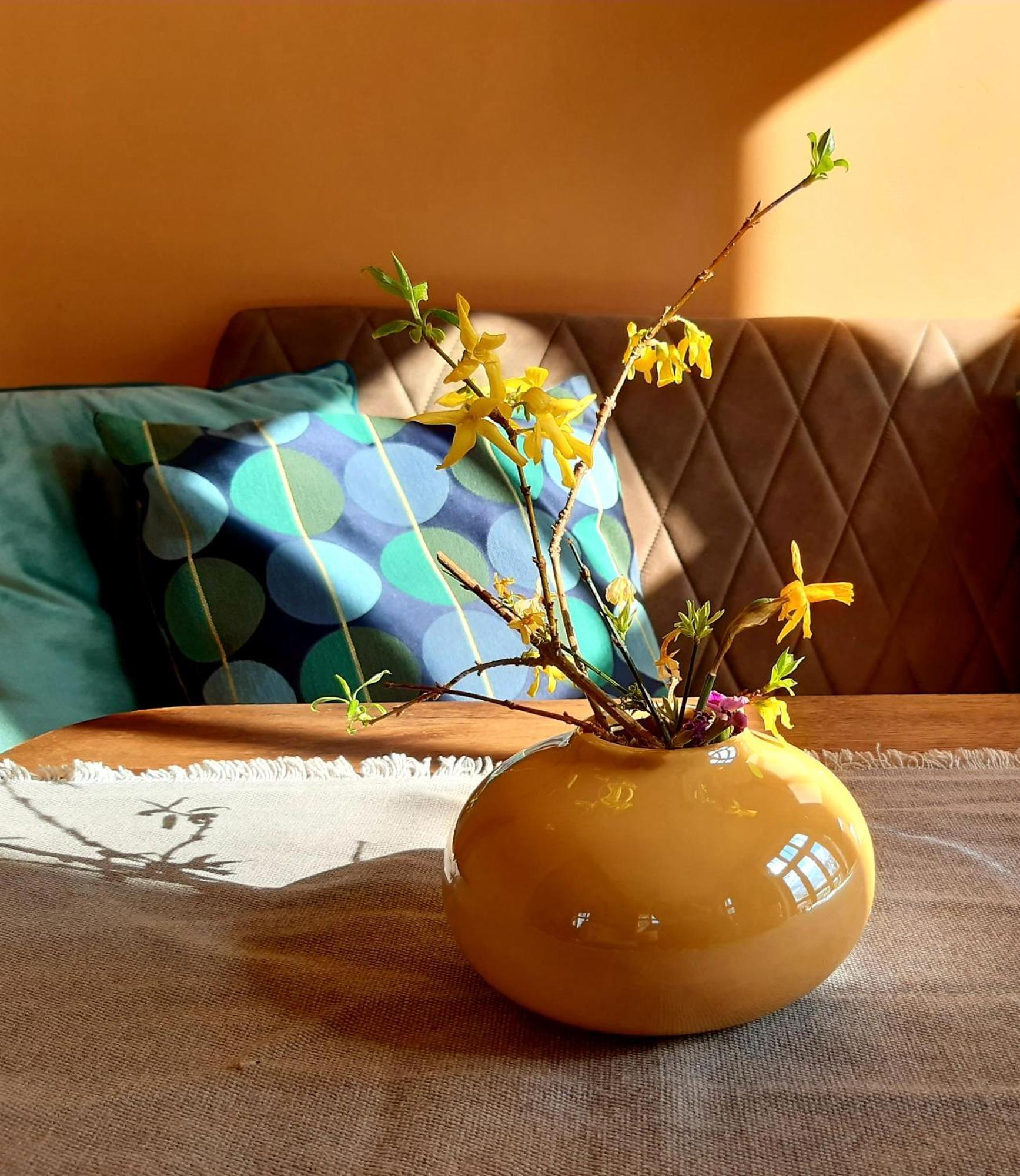 Ferienhaus Salvia Gremersdorf-Buchholz ภายนอก รูปภาพ