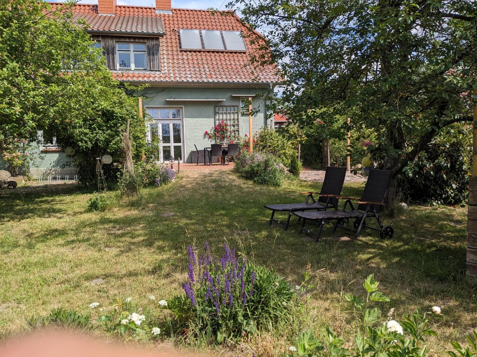 Ferienhaus Salvia Gremersdorf-Buchholz ภายนอก รูปภาพ
